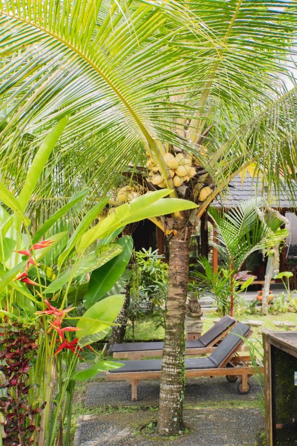 Mancur Guesthouse Ubud  Bagian luar foto