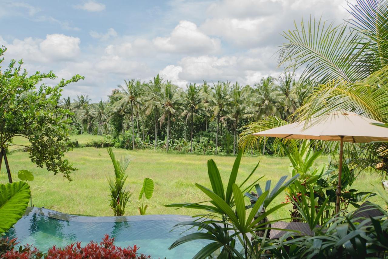 Mancur Guesthouse Ubud  Bagian luar foto