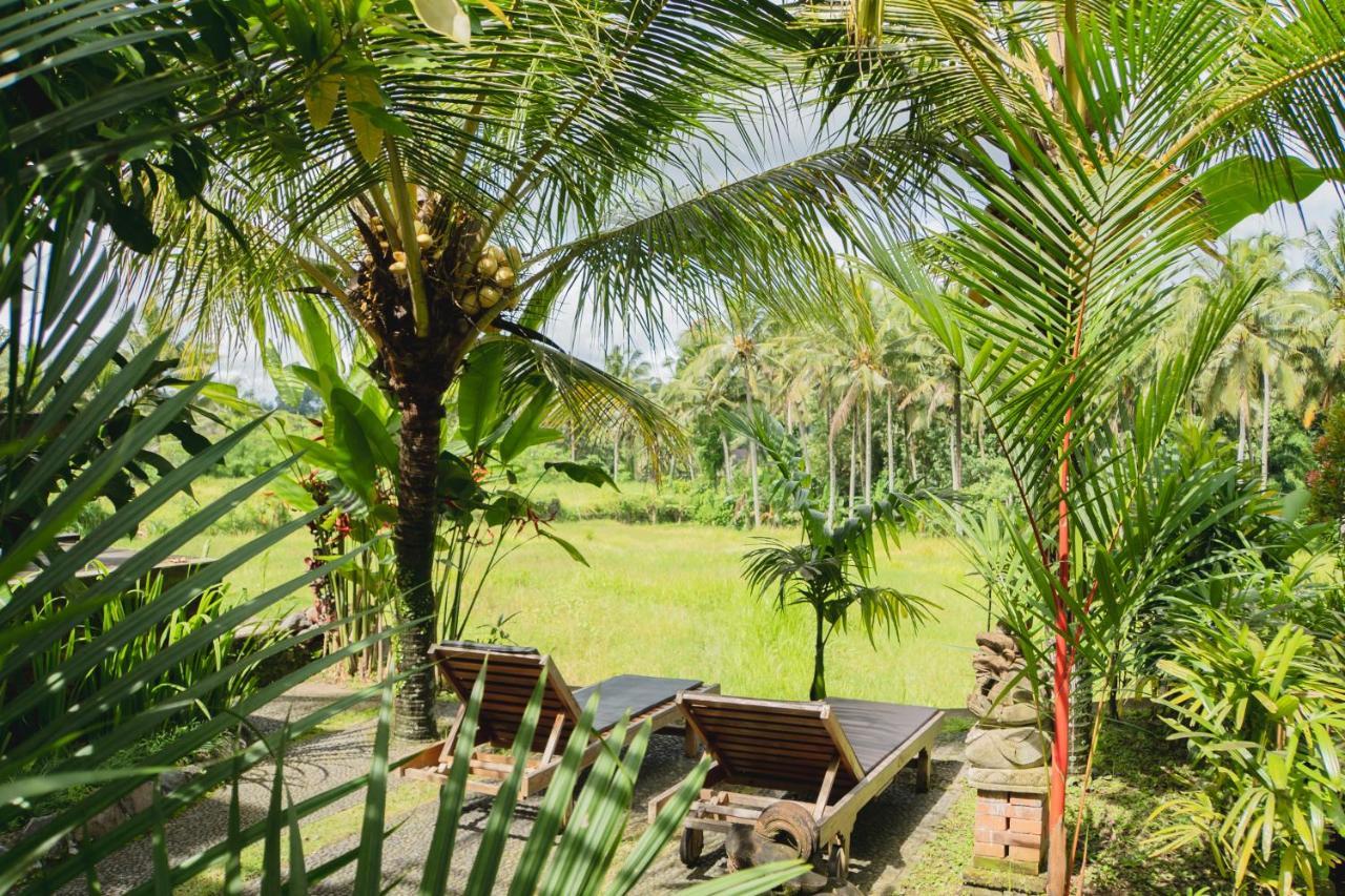 Mancur Guesthouse Ubud  Bagian luar foto