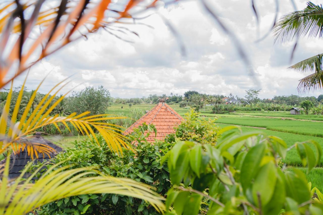 Mancur Guesthouse Ubud  Bagian luar foto