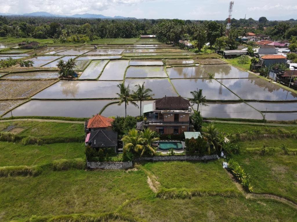 Mancur Guesthouse Ubud  Bagian luar foto
