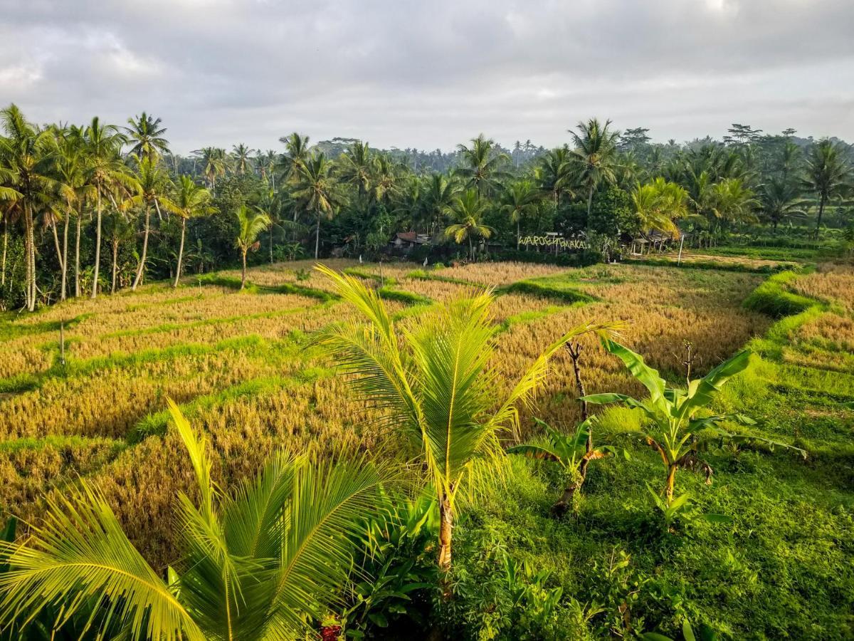 Mancur Guesthouse Ubud  Bagian luar foto